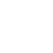 Icon_Auswahl